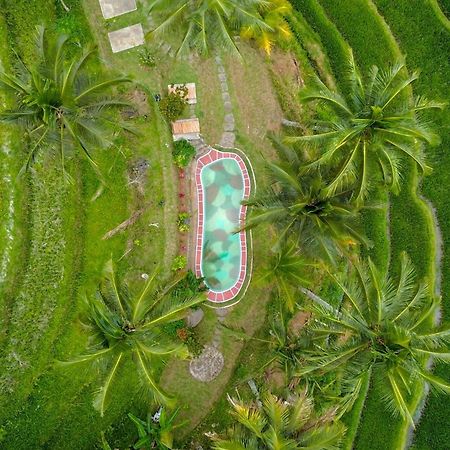 Pesona Bali Ecolodge By Agata Jatiluwih Exteriér fotografie