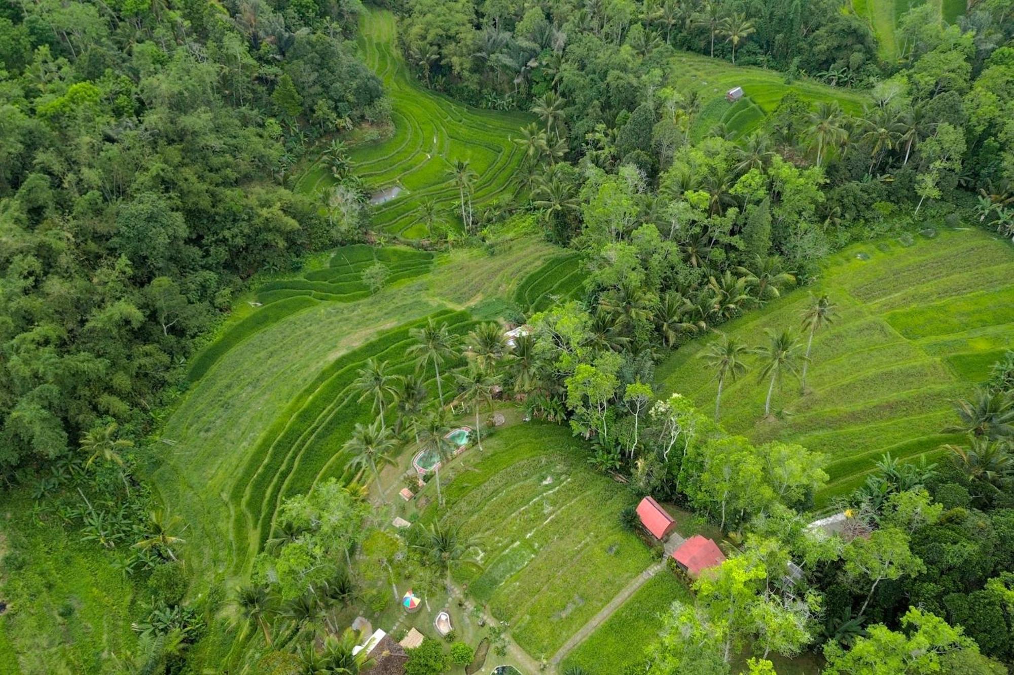 Pesona Bali Ecolodge By Agata Jatiluwih Exteriér fotografie