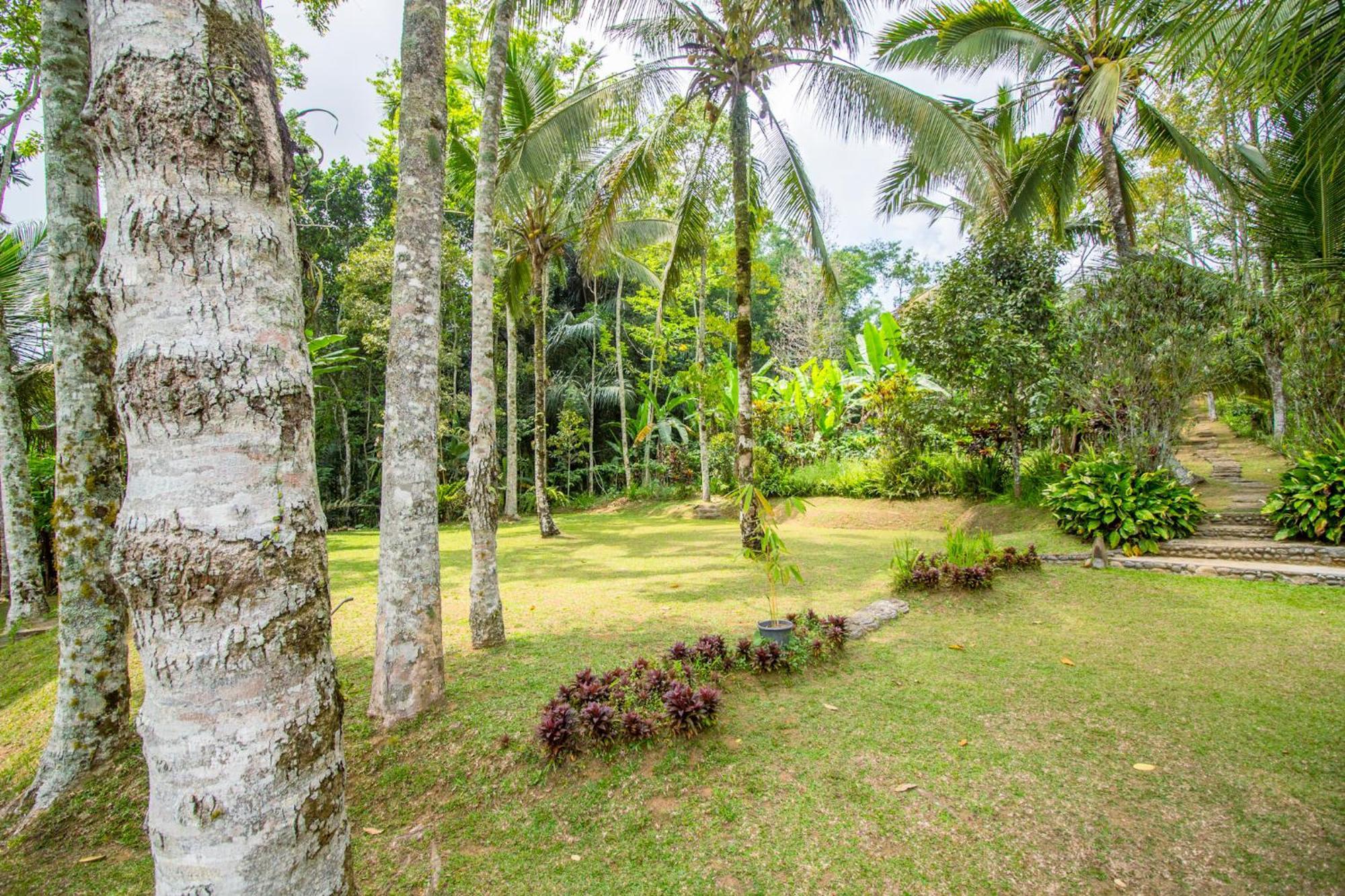 Pesona Bali Ecolodge By Agata Jatiluwih Exteriér fotografie