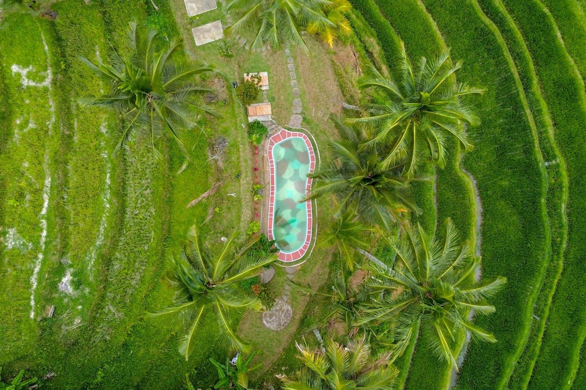 Pesona Bali Ecolodge By Agata Jatiluwih Exteriér fotografie